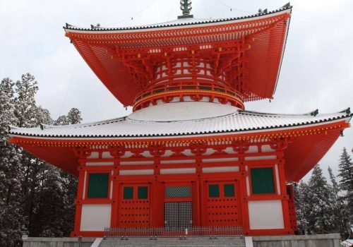 000000009_29345_20250301_012356_l