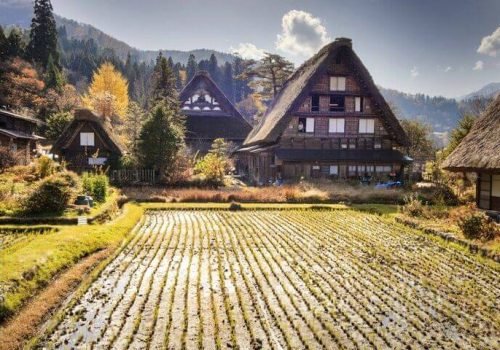 2bd8bf8d-b992-404d-be55-60d4d98f1f26