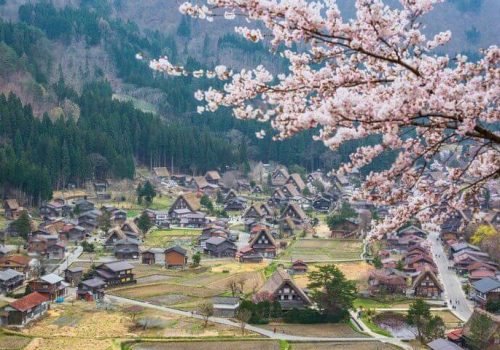 5fa684f8-9f1a-4c98-88c