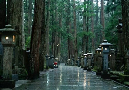 ffdaf932-dbb6-48e4-aa2b-aff140046c18