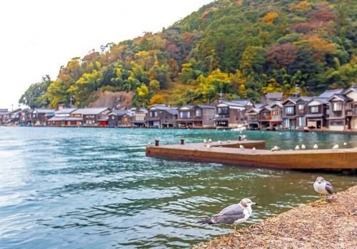 imgi_18_dcd6db4a-a022-489c-8798-1cdd04e8d27b