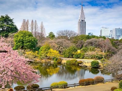 shinjuku-gyoen-garden