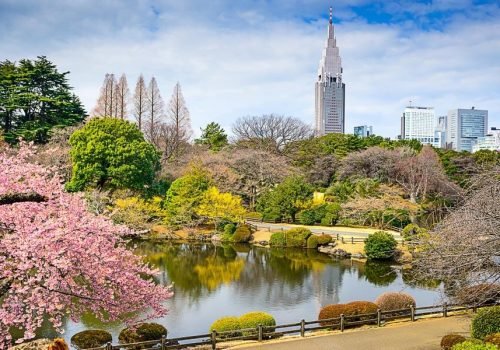 shinjuku-gyoen-garden
